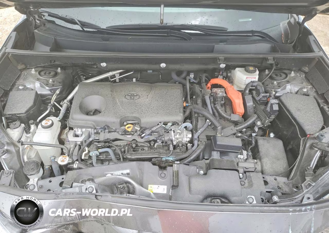 2023 Toyota Rav4 Xse VIN:2T3E6RFV8PW045818 - 12