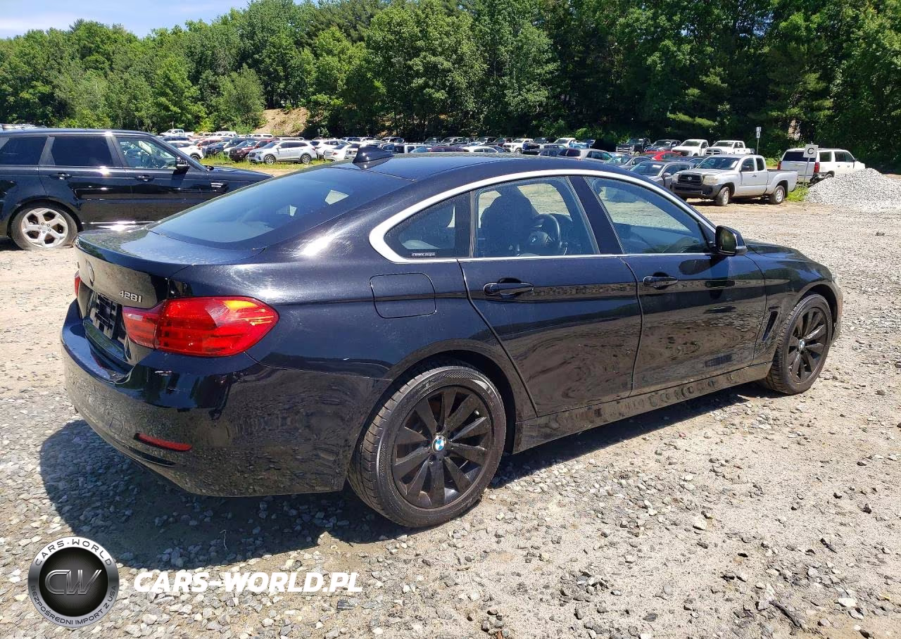 2016 BMW 428 Xi Gran Coupe Sulev VIN:WBA4C9C58GG137657 - 3