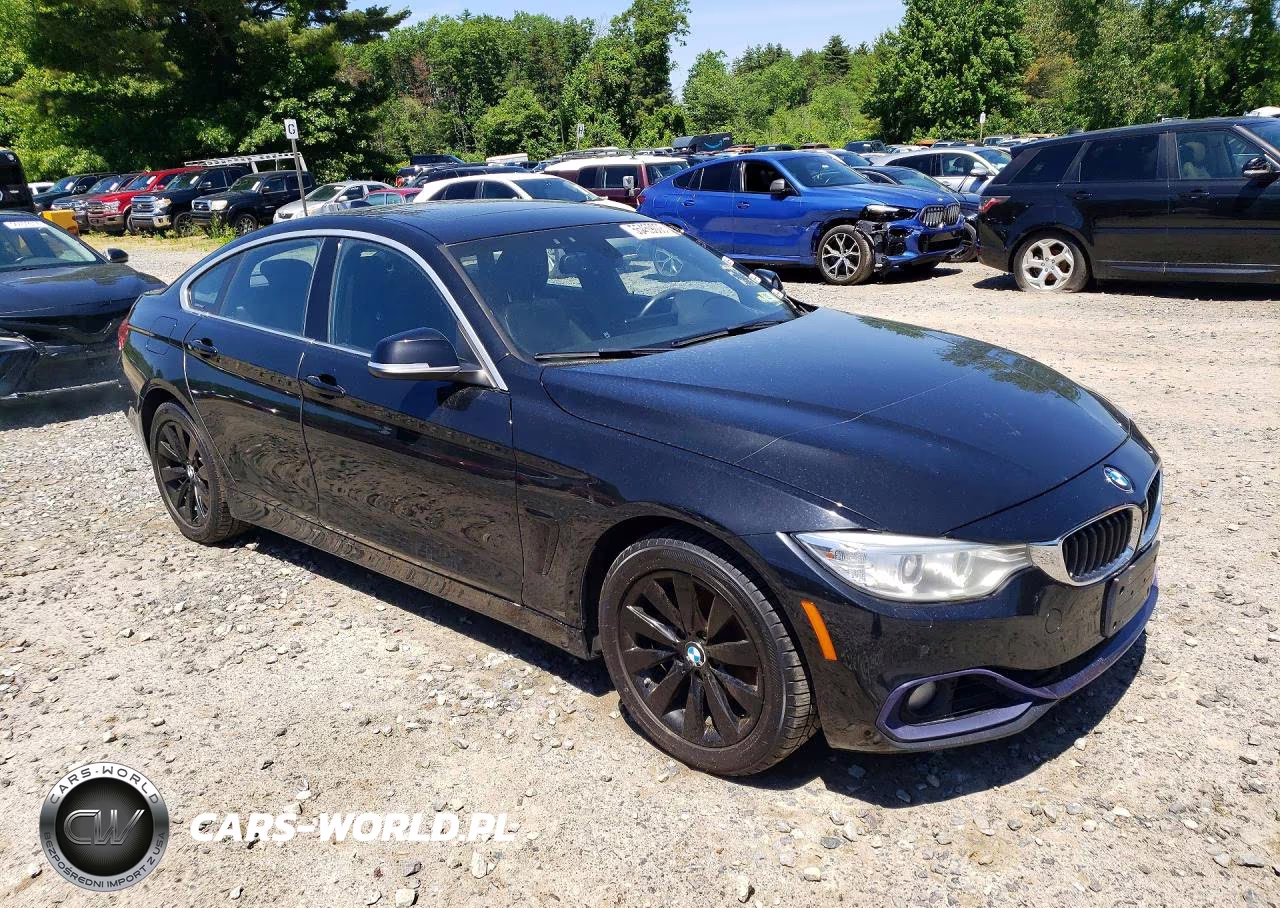 2016 BMW 428 Xi Gran Coupe Sulev VIN:WBA4C9C58GG137657 - 4