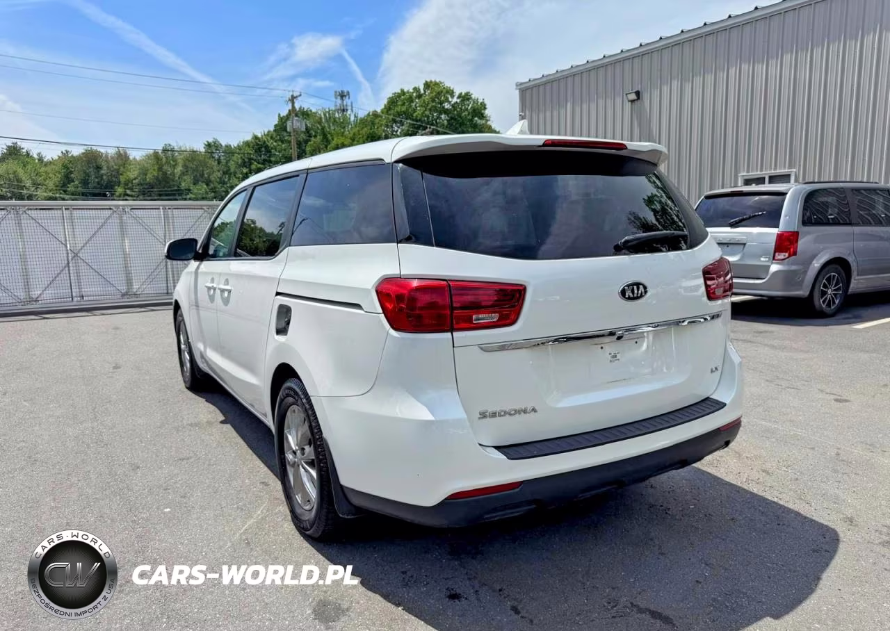 2019 Kia Sedona Lx VIN:KNDMB5C18K6525496 - 2