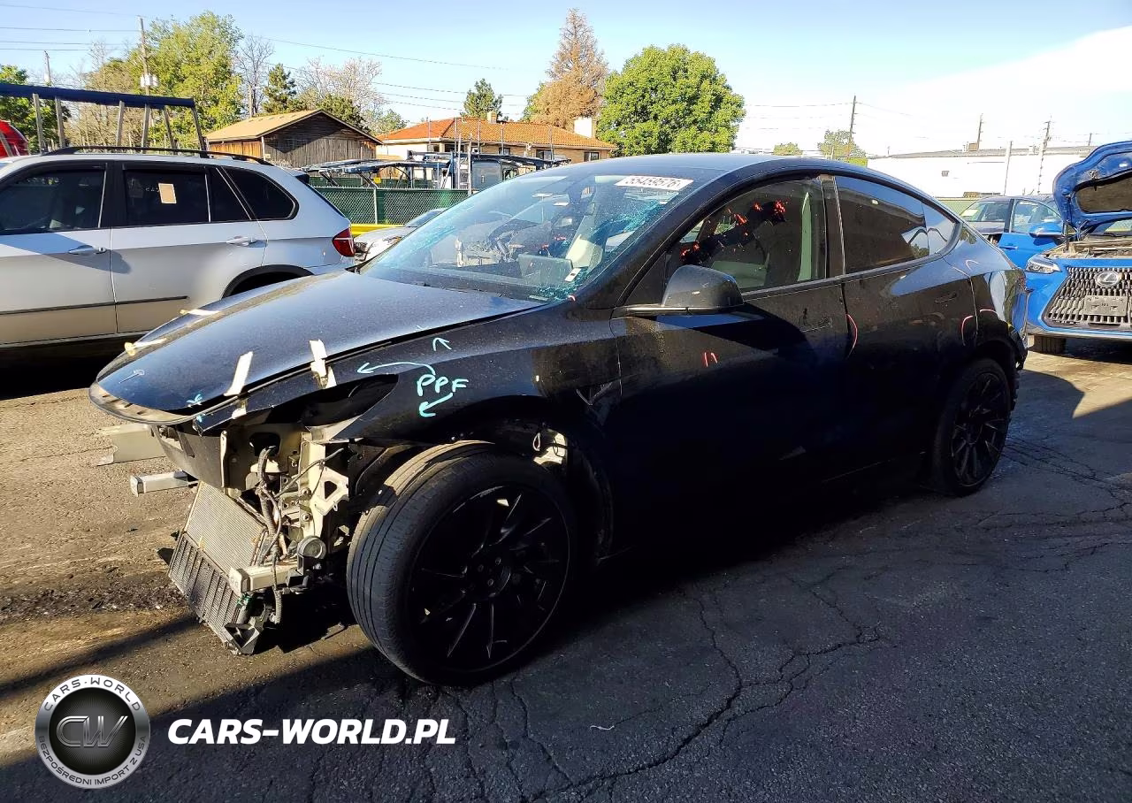 2020 Tesla Model Y