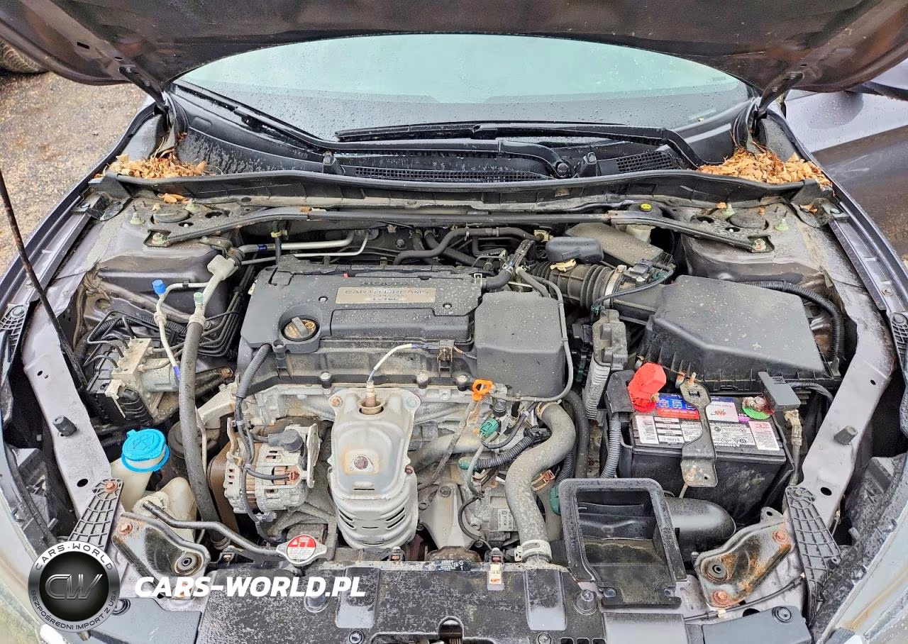 2014 Honda Accord Exl VIN:1HGCR2F85EA229062 - 11