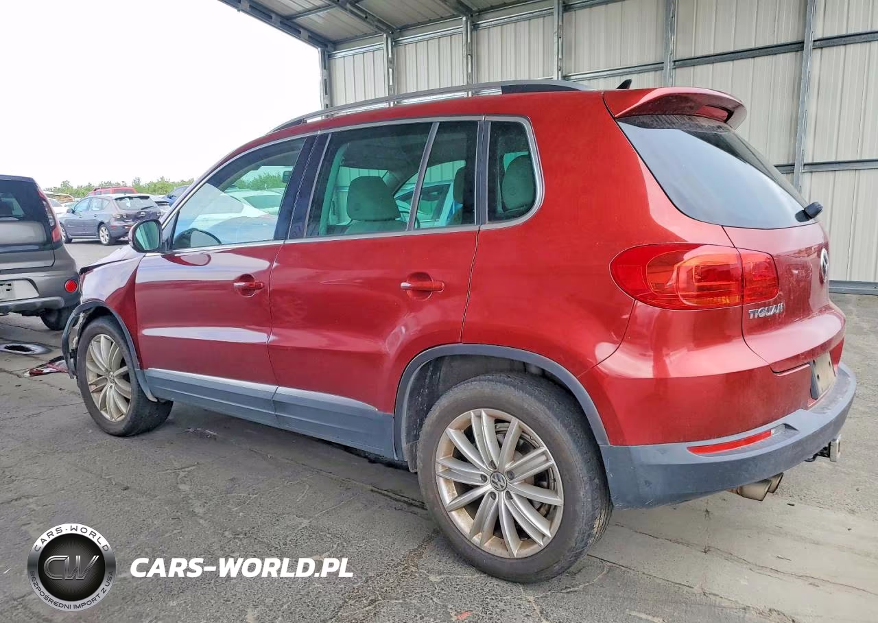 2015 Volkswagen Tiguan S VIN:WVGBV7AX8FW003910 - 2