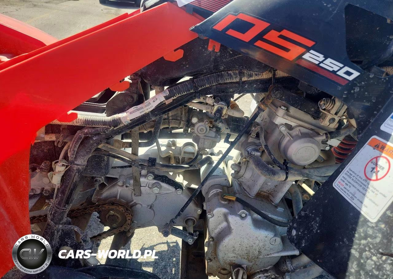 2022 Can-Am Ds 250 Atv VIN:RFGUB2518MS027544 - 7
