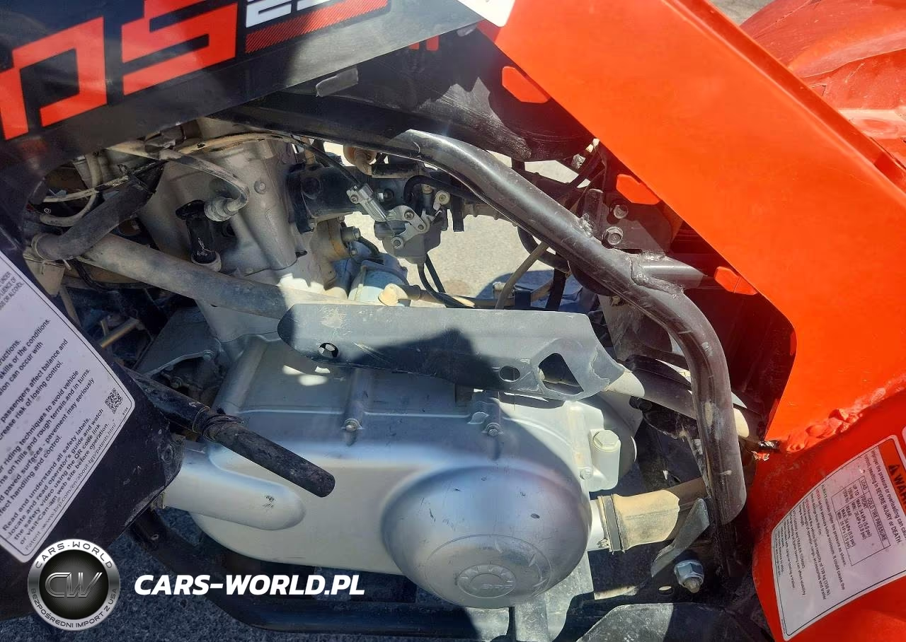2022 Can-Am Ds 250 Atv VIN:RFGUB2518MS027544 - 9