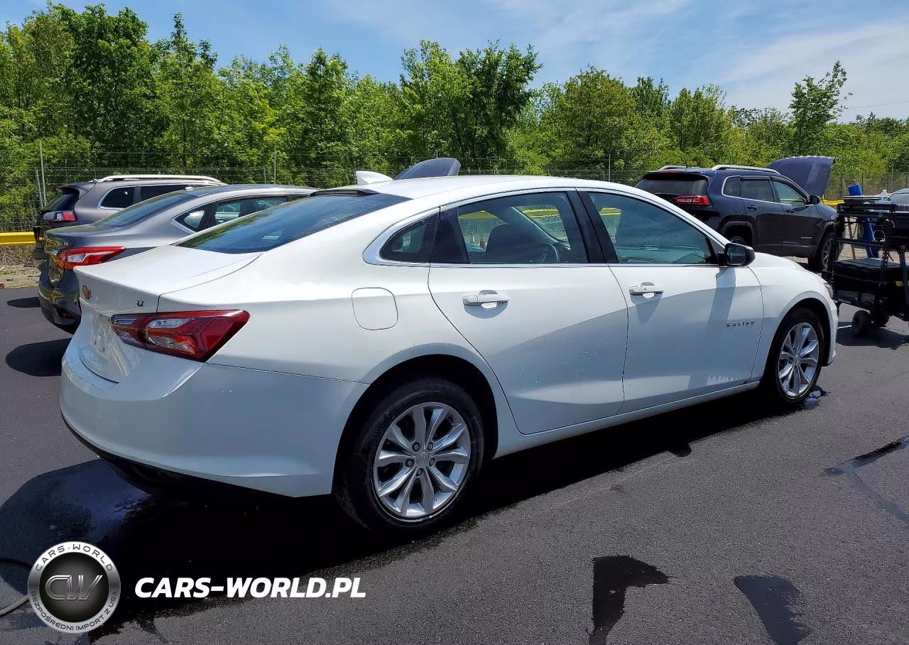 2019 Chevrolet Malibu Lt VIN:1G1ZD5ST6KF140031 - 3