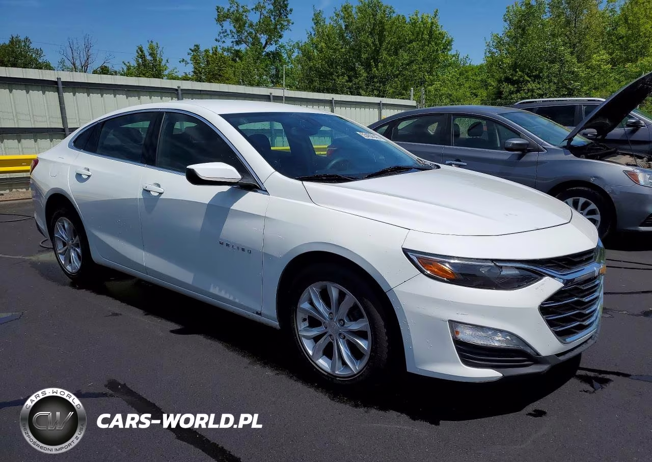 2019 Chevrolet Malibu Lt VIN:1G1ZD5ST6KF140031 - 4