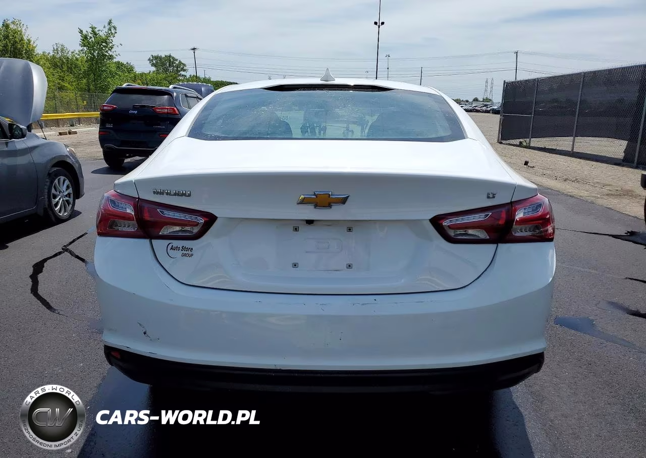 2019 Chevrolet Malibu Lt VIN:1G1ZD5ST6KF140031 - 6