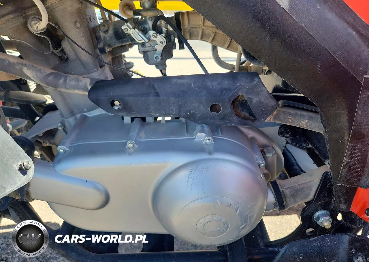 2022 Can-Am Ds 250 - Atv VIN:RFGUB2516NS030119 - 9