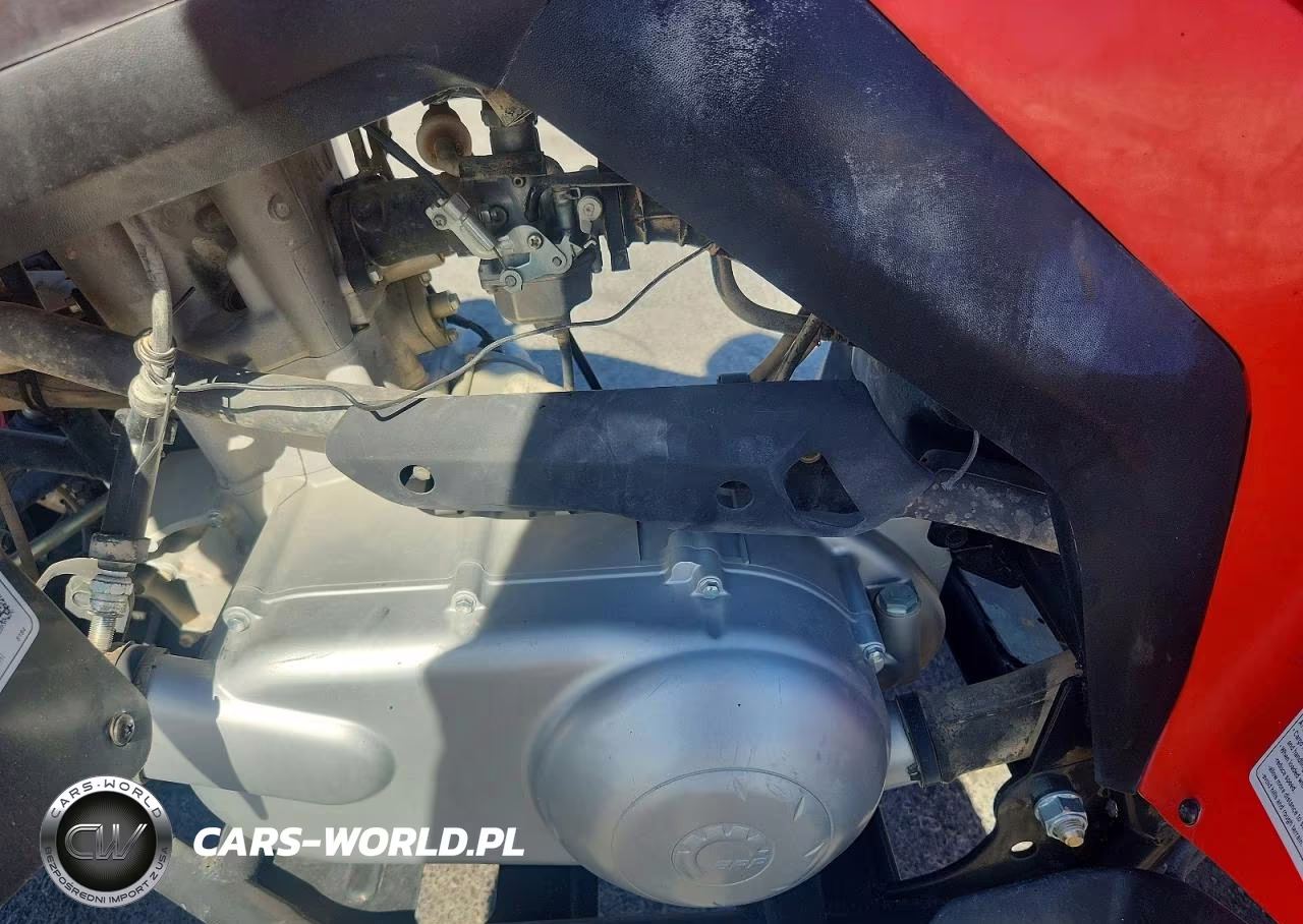 2022 Can-Am Ds 250 - Atv VIN:RFGUB251XNS030155 - 9