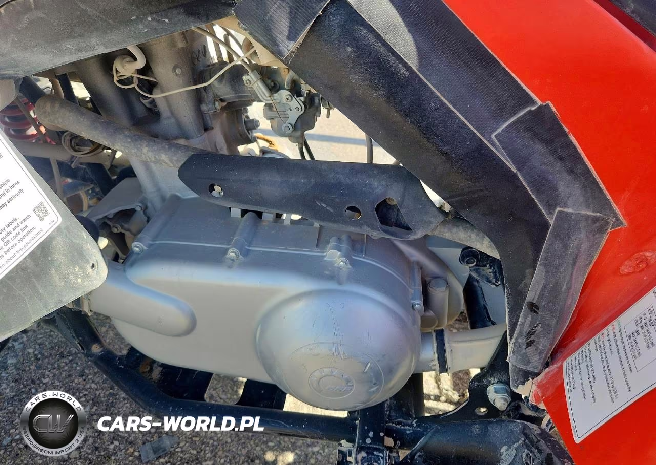 2022 Can-Am Ds 250 - Atv VIN:RFGUB2510NS030116 - 9