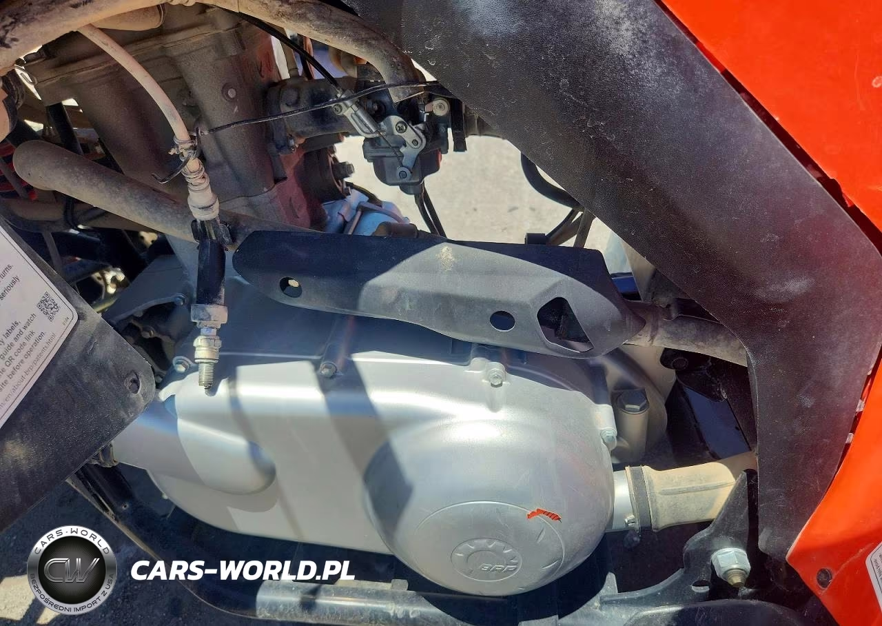 2022 Can-Am Ds 250 - Atv VIN:RFGUB251XNS030141 - 9