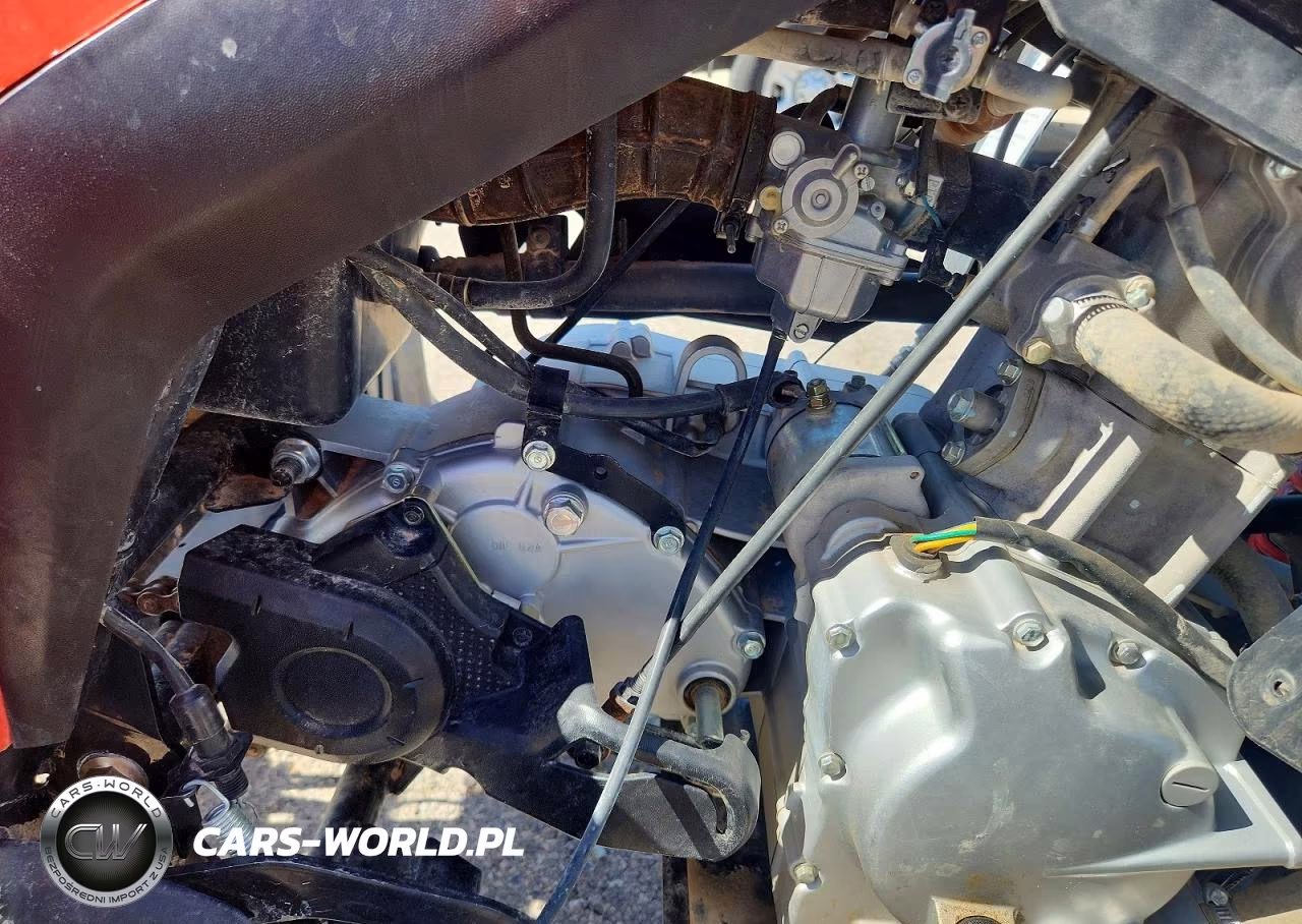2022 Can-Am Ds 250 - Atv VIN:RFGUB2513NS030157 - 7