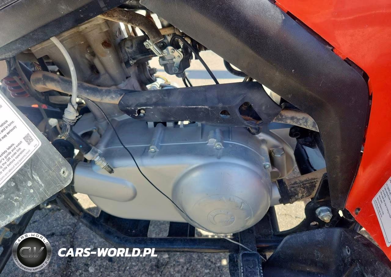 2022 Can-Am Ds 250 - Atv VIN:RFGUB2513NS030157 - 9