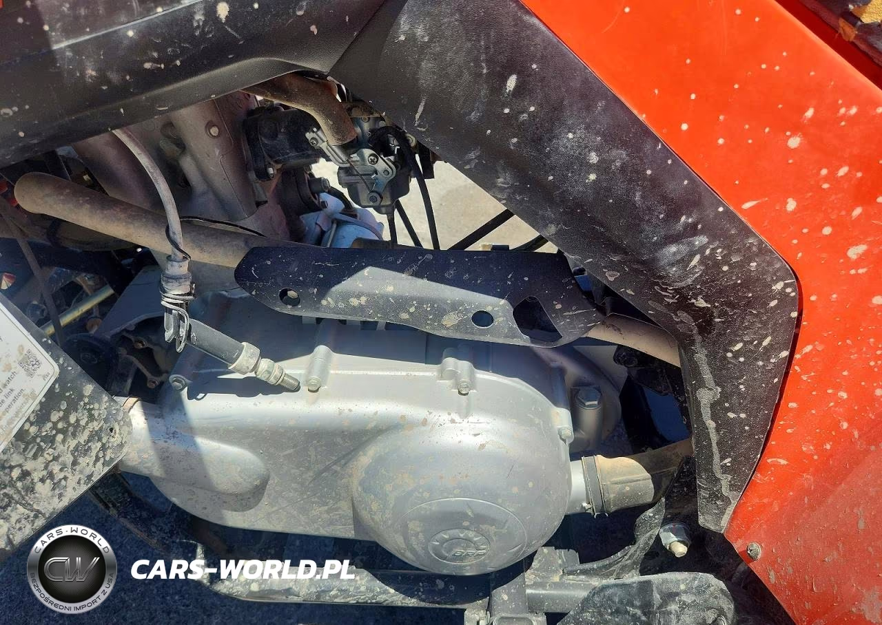 2022 Can-Am Ds 250 - Atv VIN:RFGUB2518NS029991 - 9