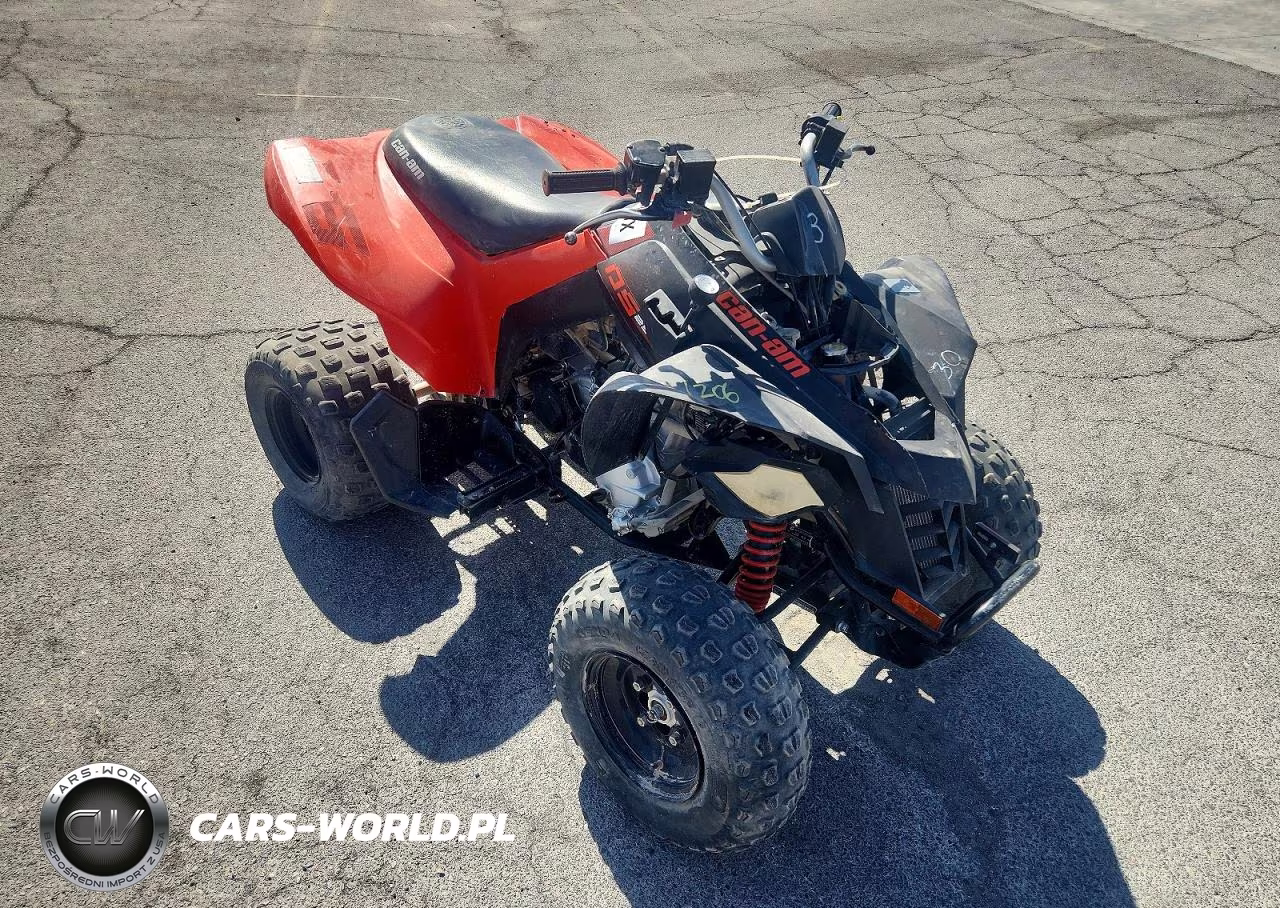 2022 Can-Am Ds 250 Atv