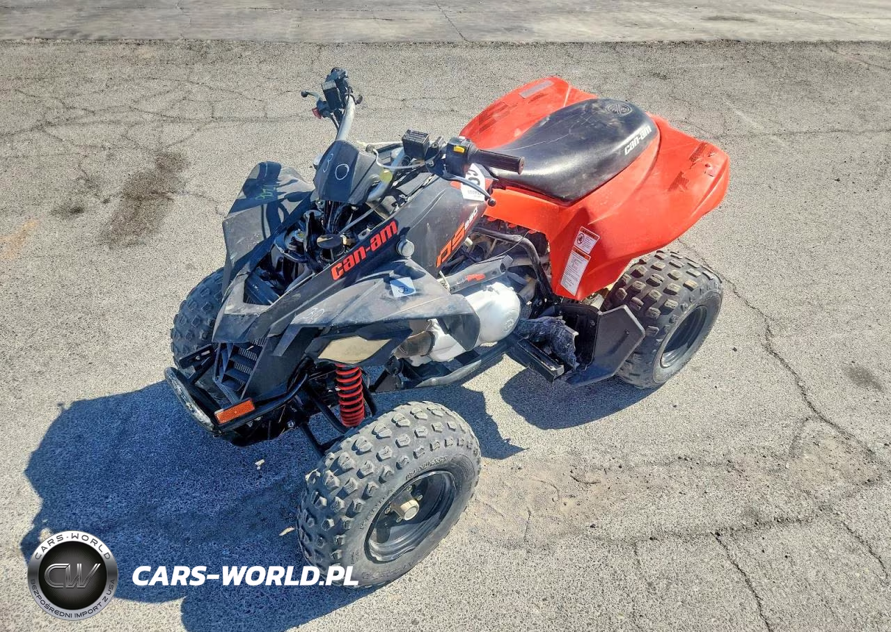 2022 Can-Am Ds 250 Atv VIN:RFGUB2517NS030131 - 2