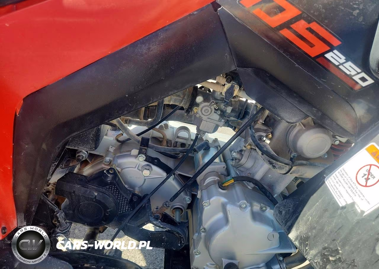 2022 Can-Am Ds 250 Atv VIN:RFGUB2517NS030131 - 7