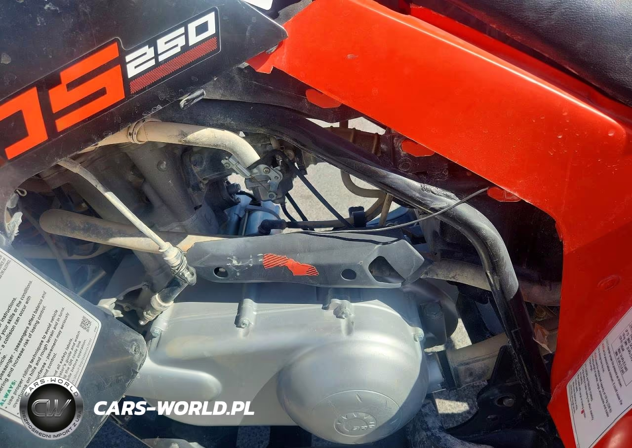 2022 Can-Am Ds 250 Atv VIN:RFGUB2517NS030131 - 9