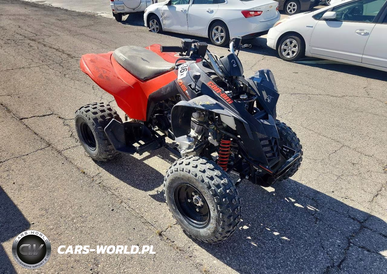 2022 Can-Am Ds 250 Atv