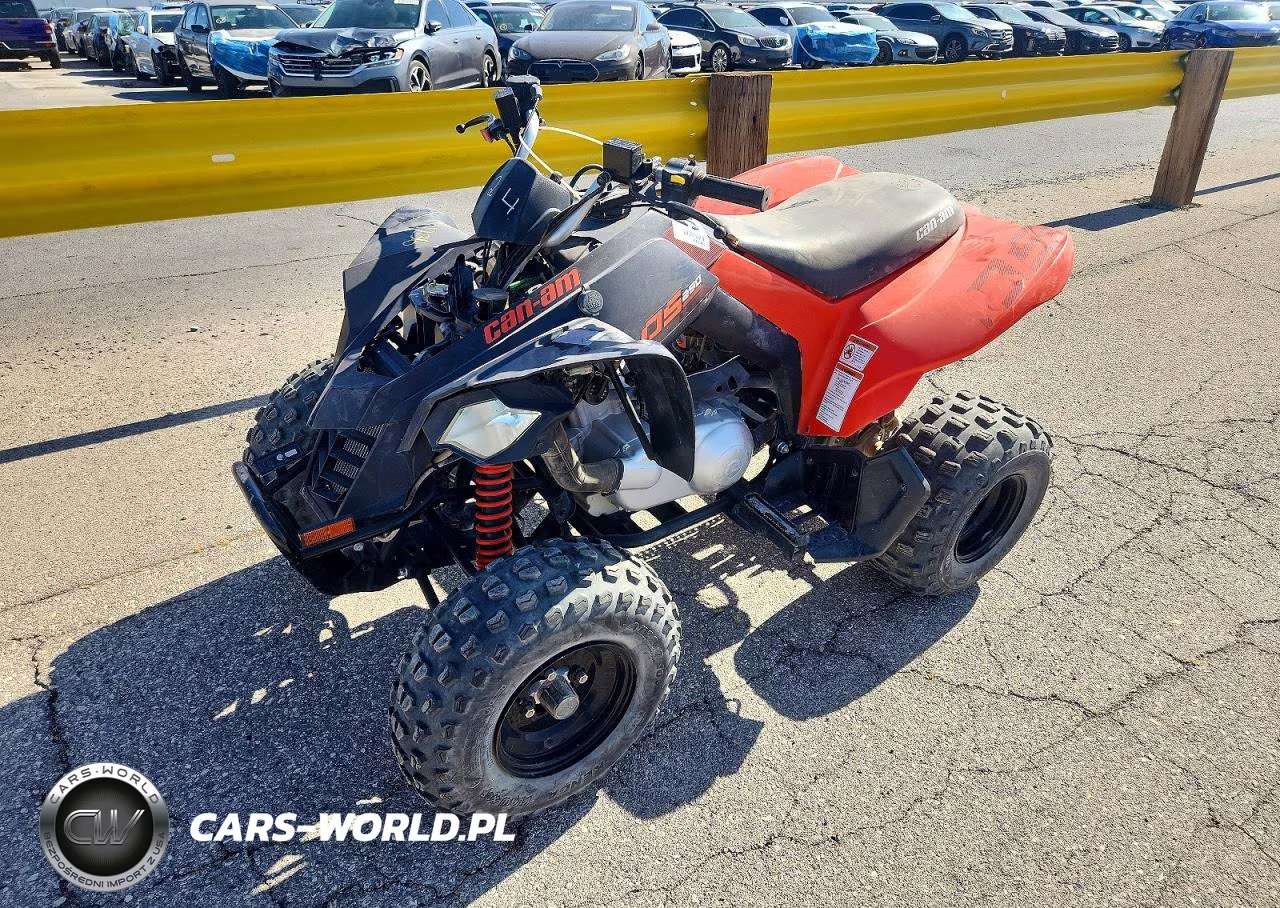 2022 Can-Am Ds 250 Atv VIN:RFGUB2519NS030129 - 2