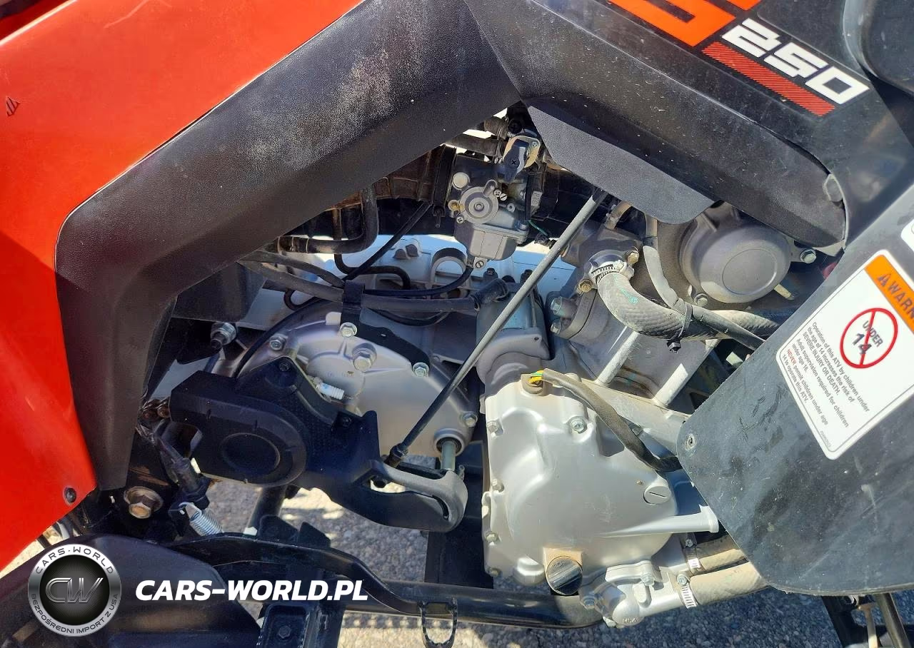 2022 Can-Am Ds 250 Atv VIN:RFGUB2519NS030129 - 7