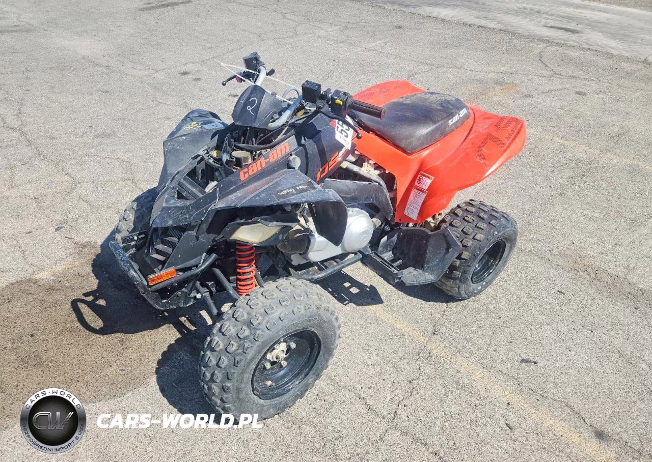 2022 Can-Am Ds 250 - Atv VIN:RFGUB2519NS030146 - 2