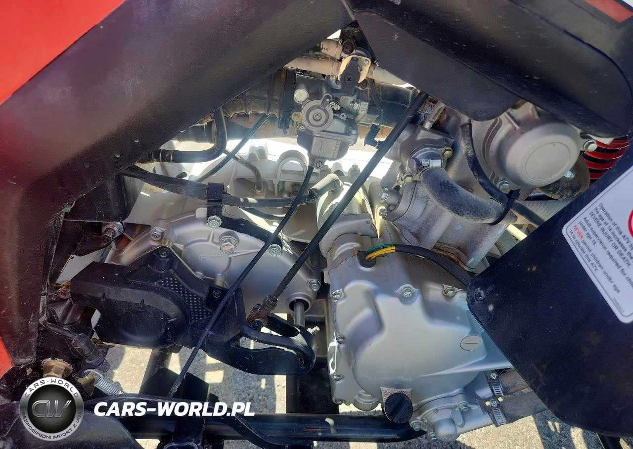 2022 Can-Am Ds 250 - Atv VIN:RFGUB2519NS030146 - 7