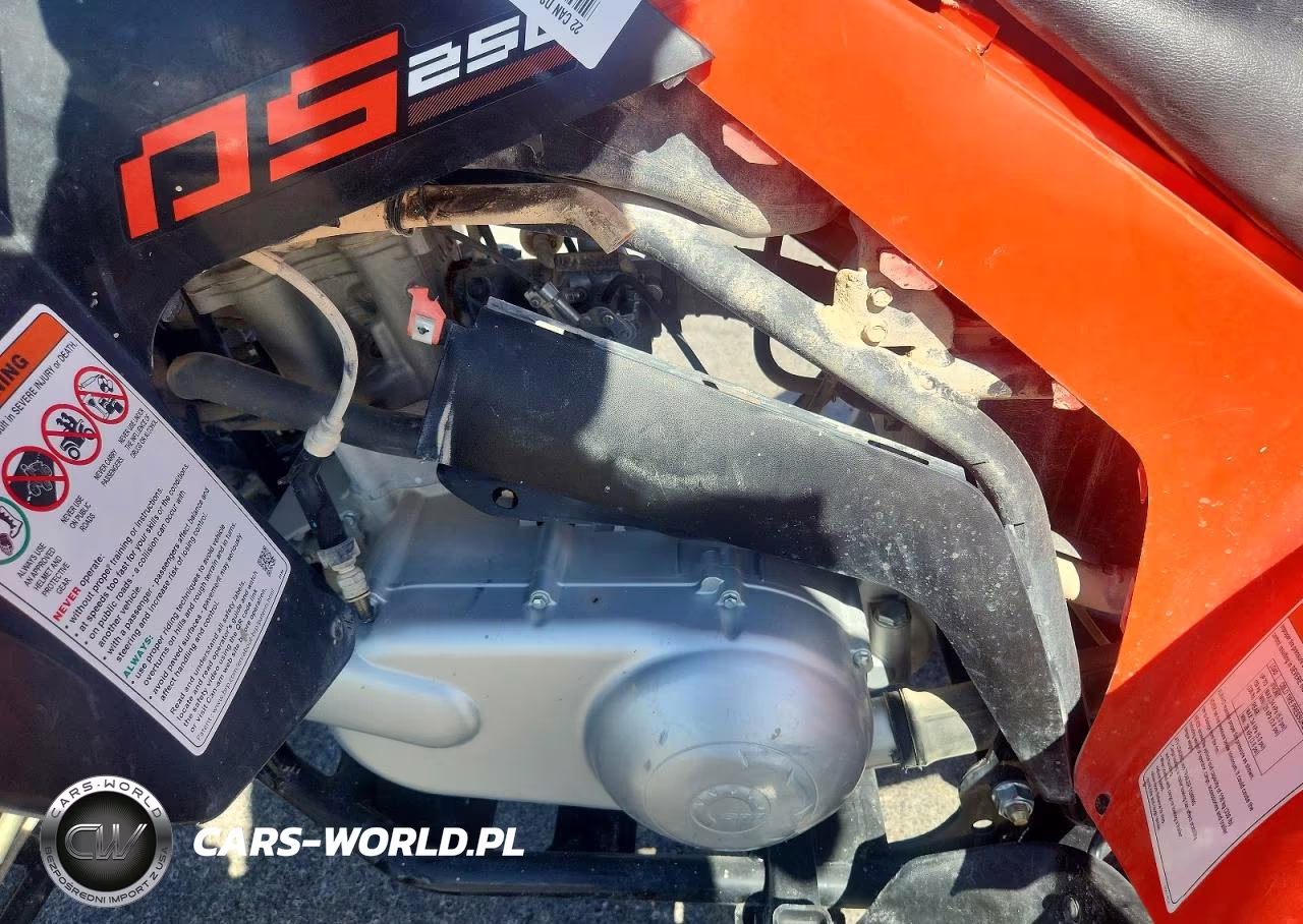 2022 Can-Am Ds 250 - Atv VIN:RFGUB2519NS030146 - 9