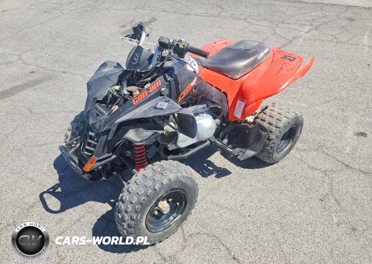 2022 Can-Am Ds 250 - Atv VIN:RFGUB2513NS030000 - 2