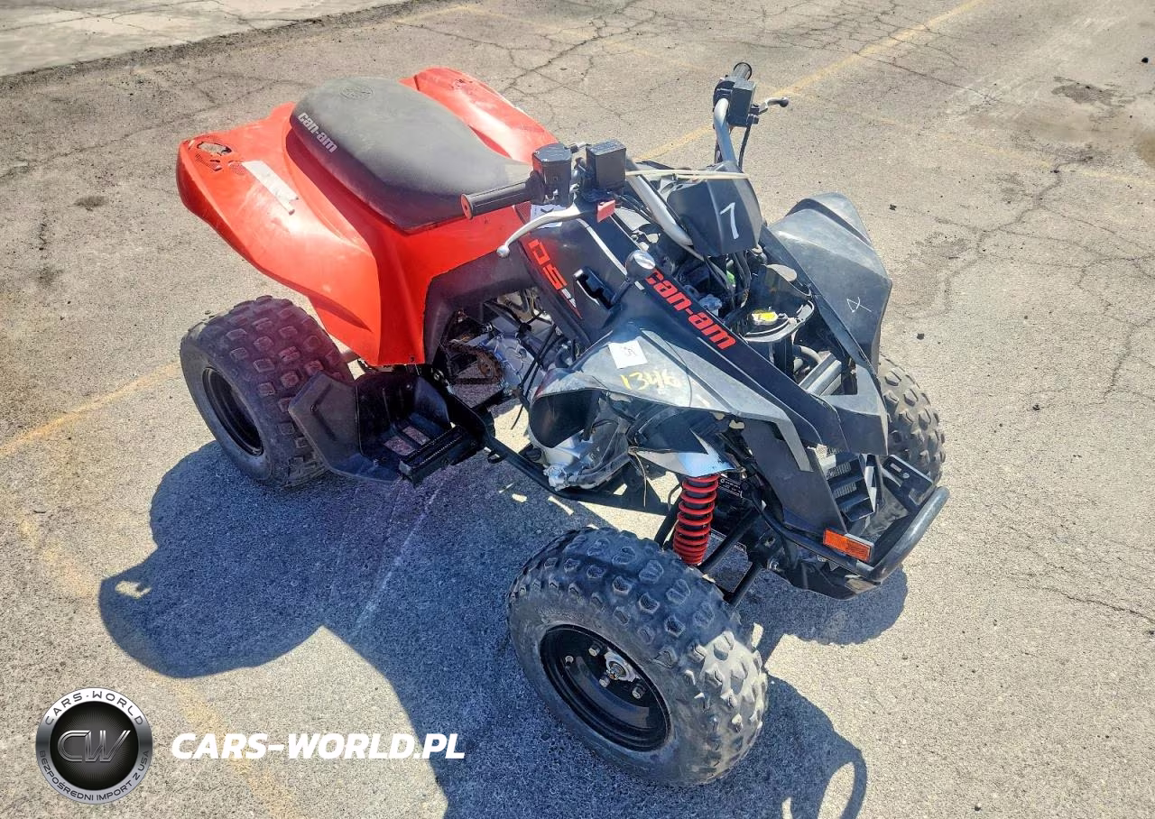 2022 Can-Am Ds 250 - Atv