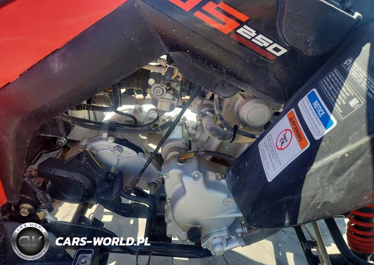 2022 Can-Am Ds 250 - Atv VIN:RFGUB2517NS030114 - 7