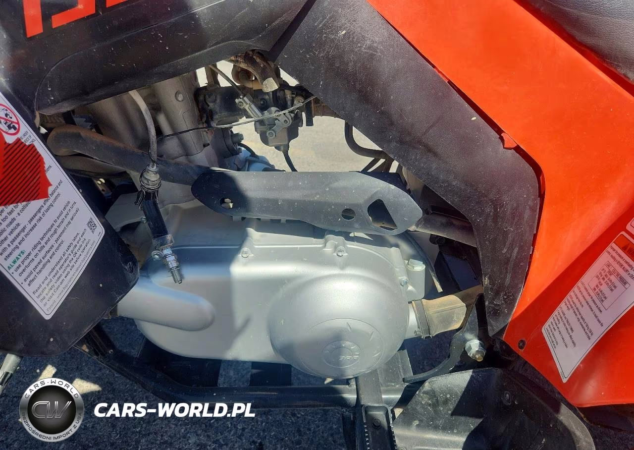 2022 Can-Am Ds 250 - Atv VIN:RFGUB2517NS030114 - 9