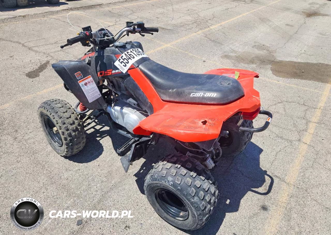 2022 Can-Am Ds 250 - Atv VIN:RFGUB2513NS030109 - 3