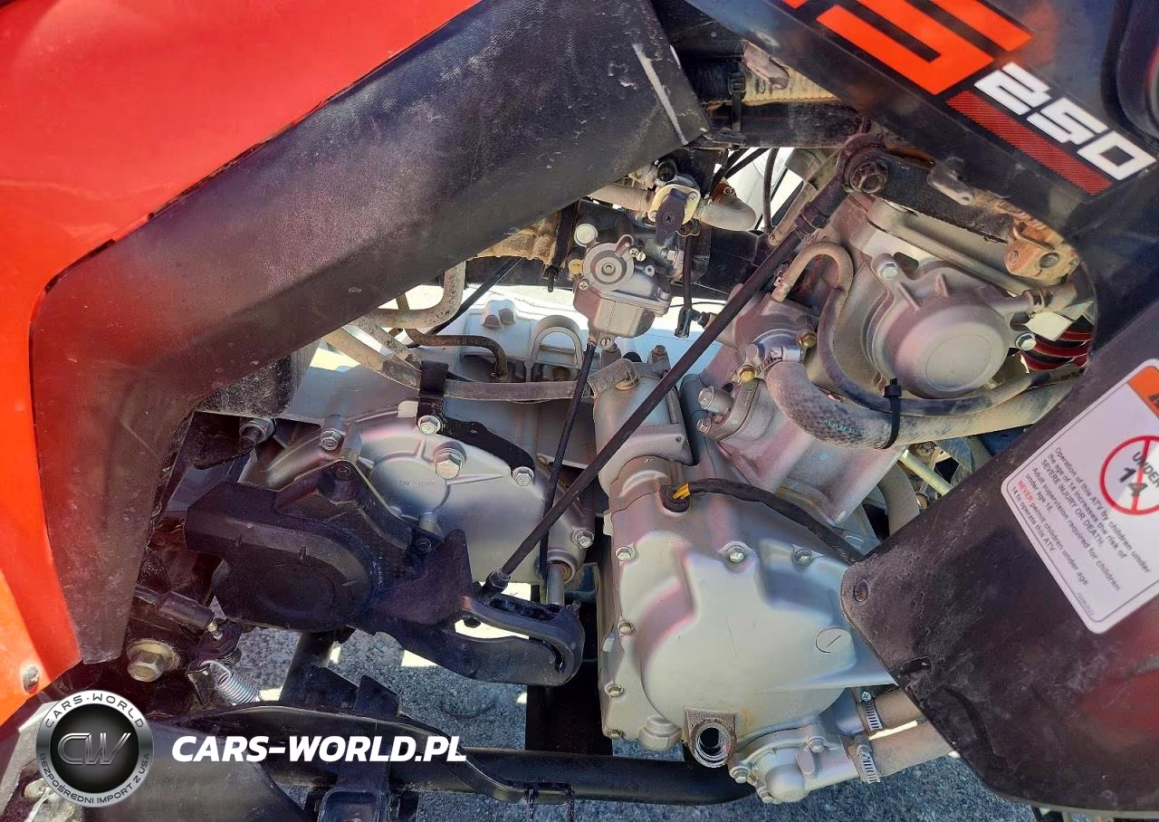 2022 Can-Am Ds 250 - Atv VIN:RFGUB2513NS030109 - 7