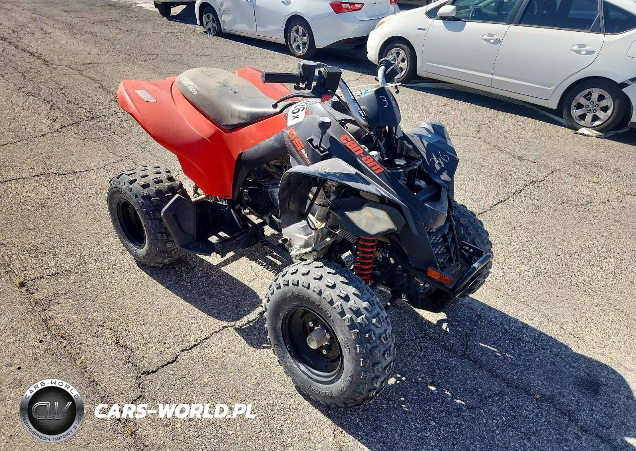 2022 Can-Am Ds 250 - Atv