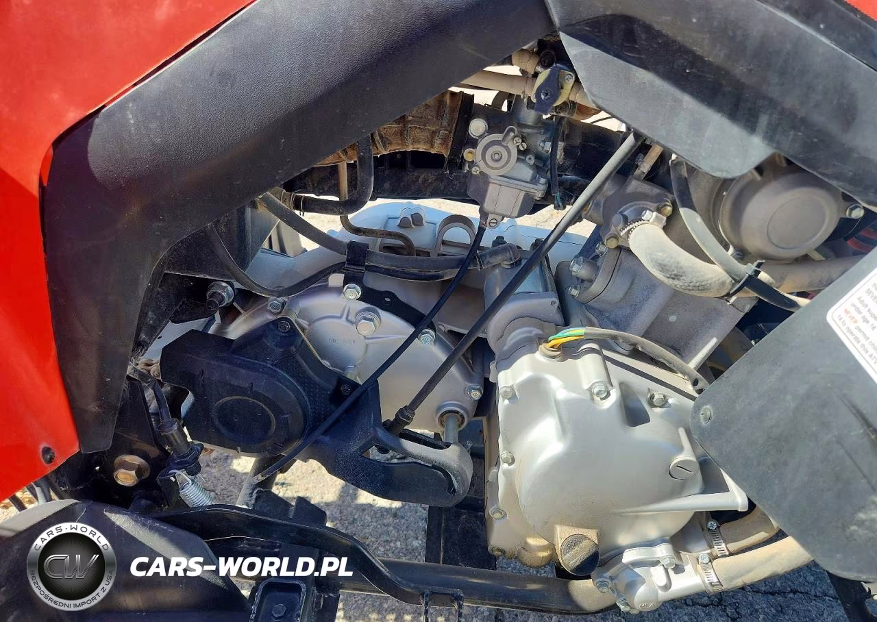 2022 Can-Am Ds 250 - Atv VIN:RFGUB2511NS030030 - 7