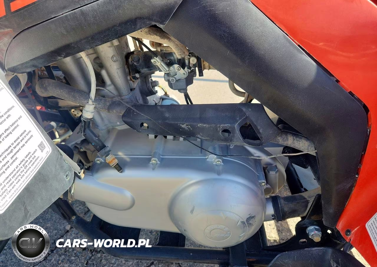 2022 Can-Am Ds 250 - Atv VIN:RFGUB2511NS030030 - 9