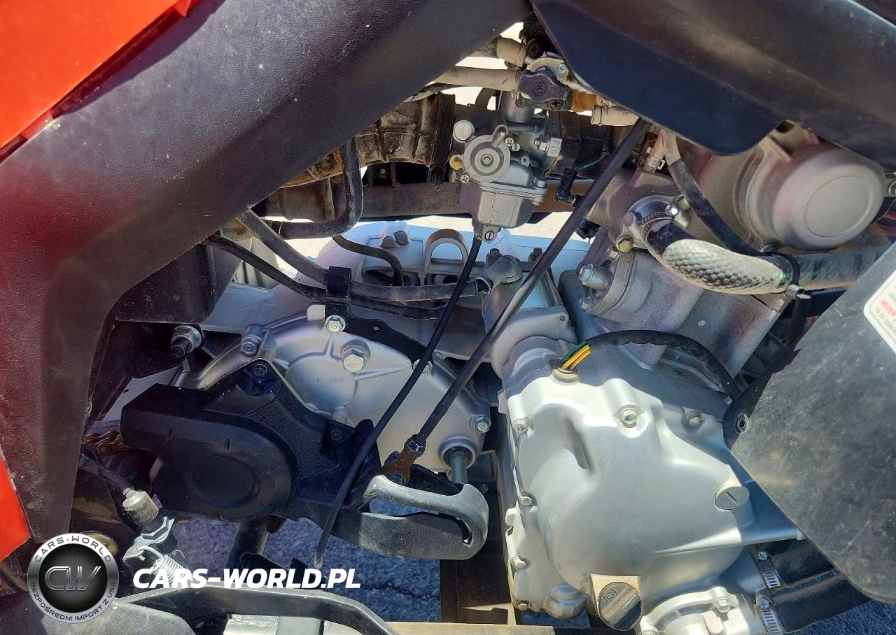 2022 Can-Am Ds 250 - Atv VIN:RFGUB2516NS030136 - 7
