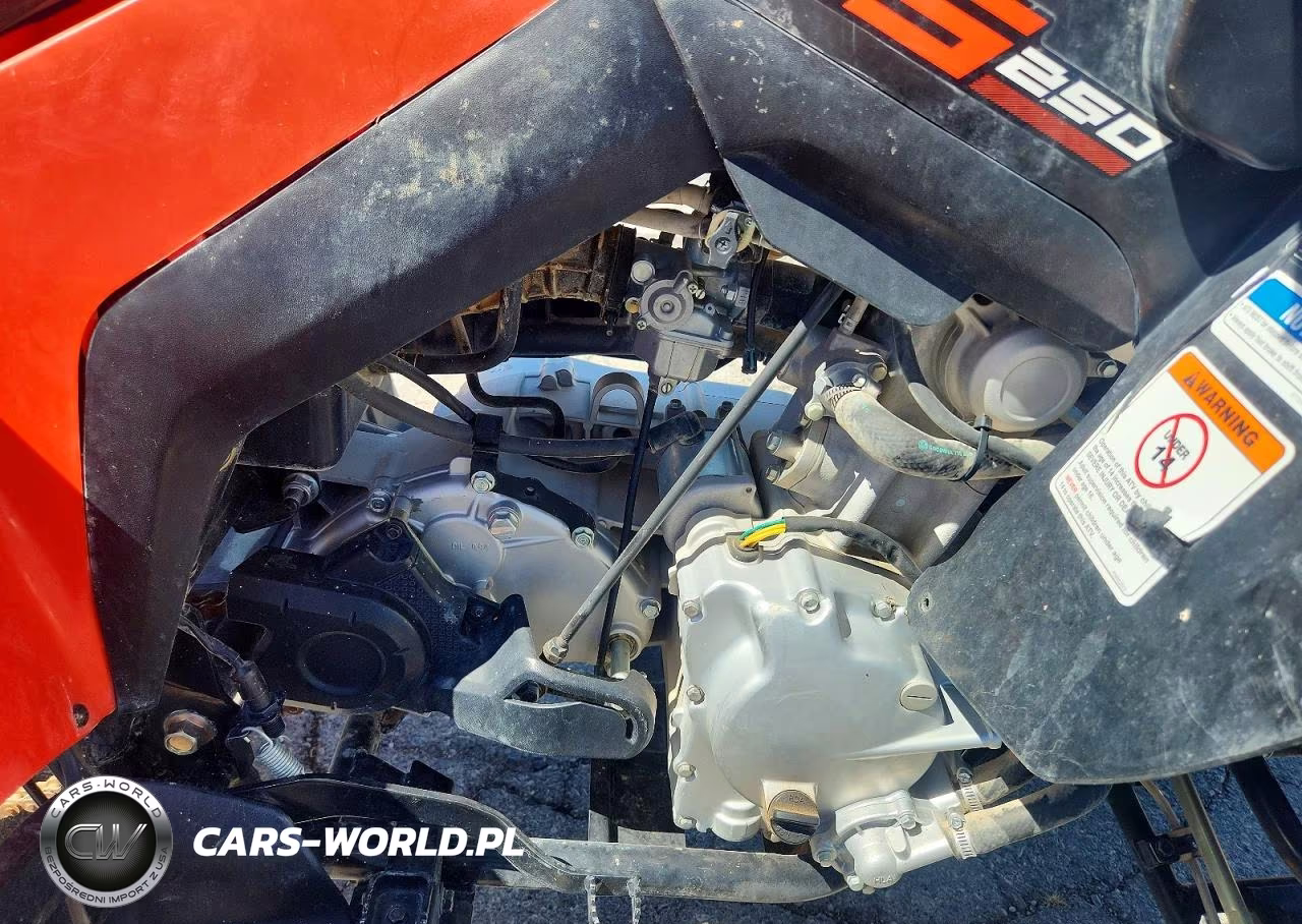 2022 Can-Am Ds 250 - Atv VIN:RFGUB2512NS030151 - 7