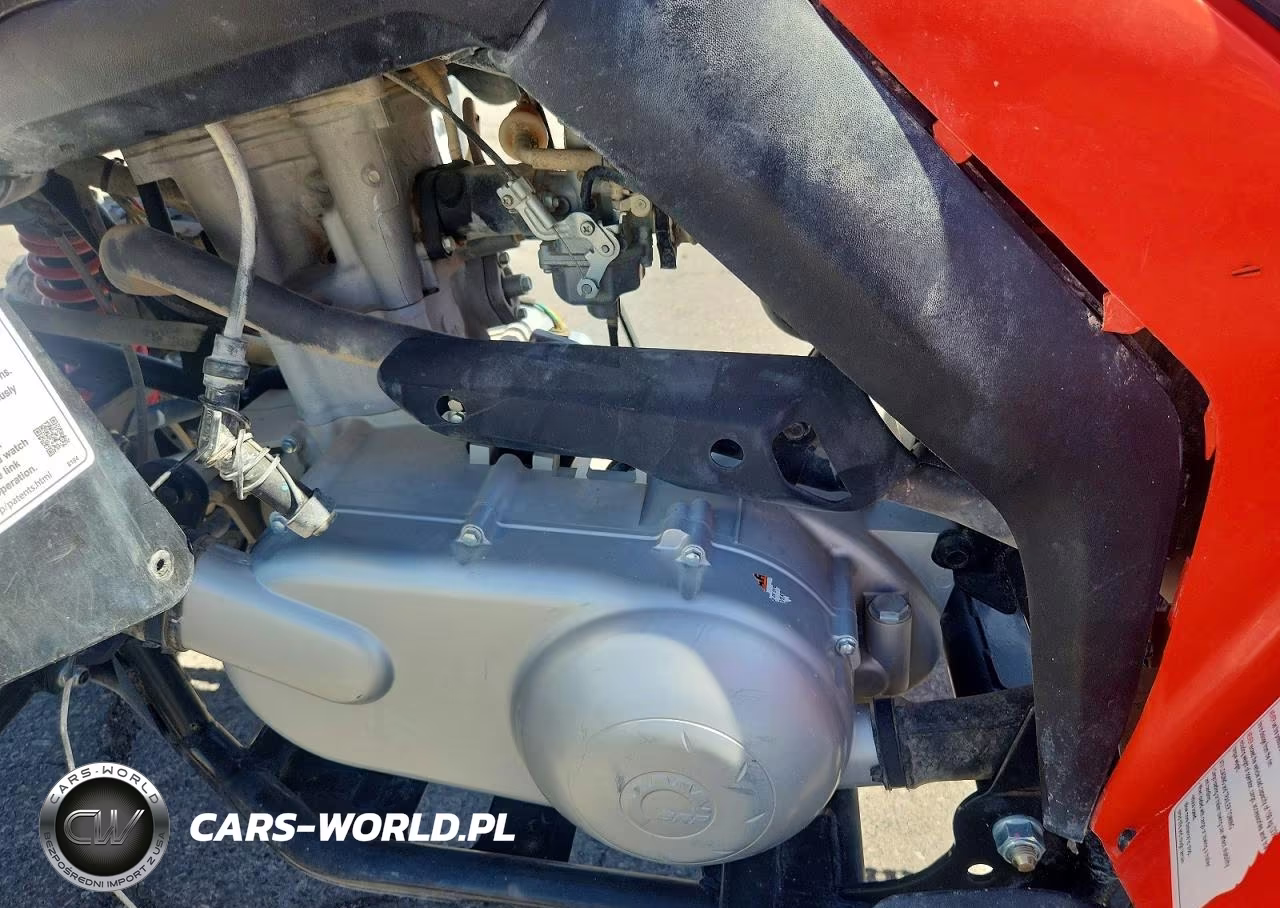 2022 Can-Am Ds 250 - Atv VIN:RFGUB2512NS030151 - 9