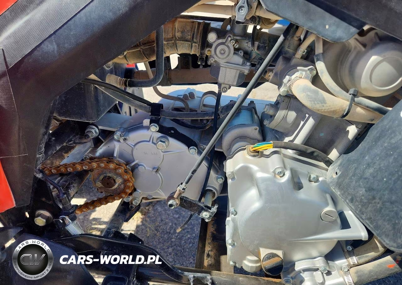 2022 Can-Am Ds 250 - Atv VIN:RFGUB2517NS029965 - 7