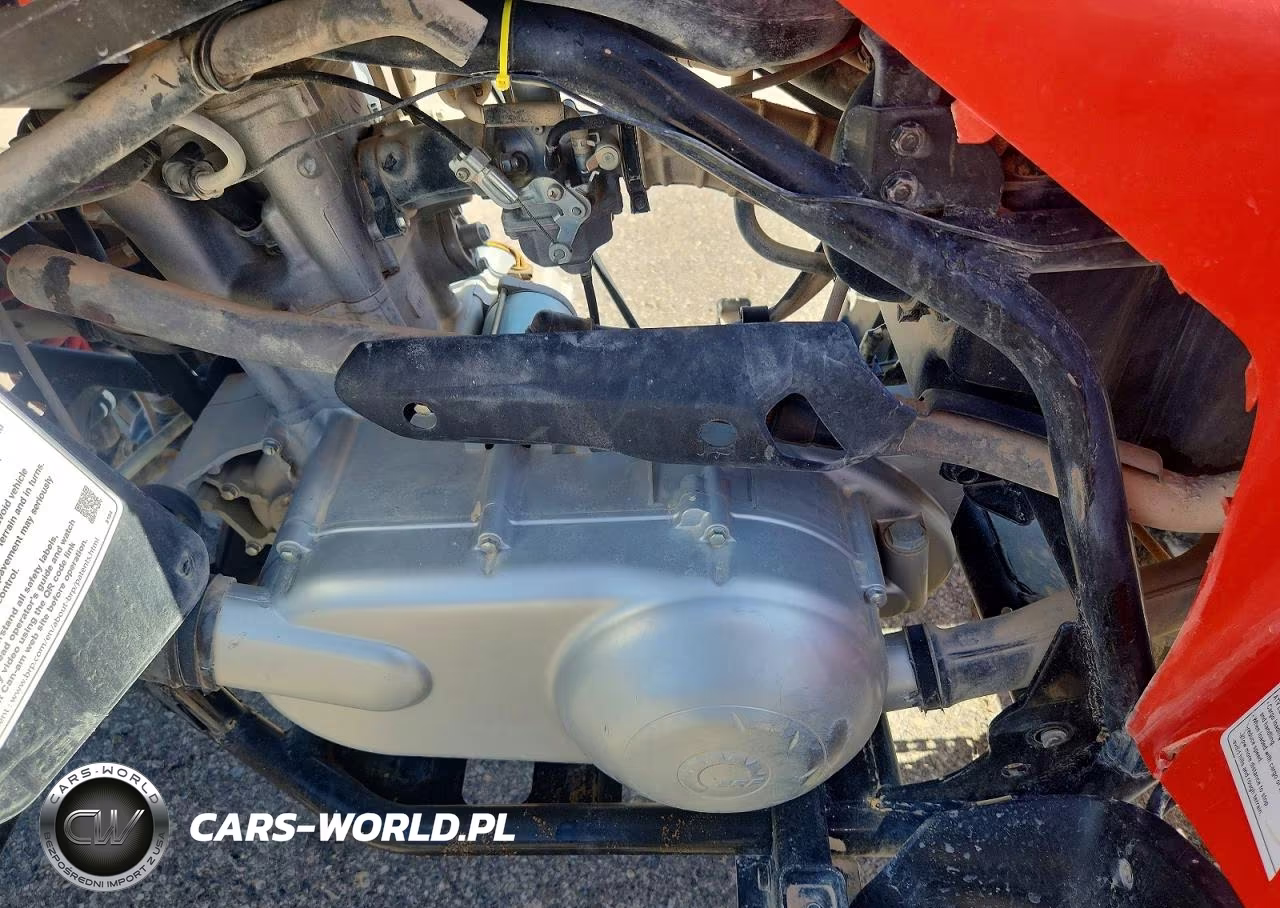 2022 Can-Am Ds 250 - Atv VIN:RFGUB2517NS029965 - 9