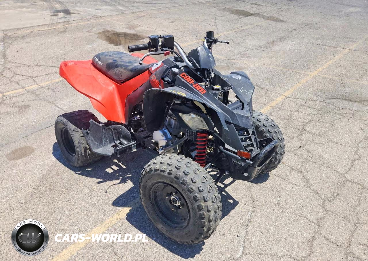 2022 Can-Am Ds 250 - Atv