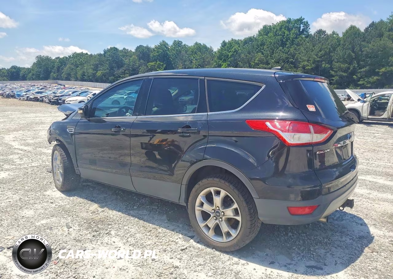 2013 Ford Escape Sel VIN:1FMCU0H9XDUC09292 - 2
