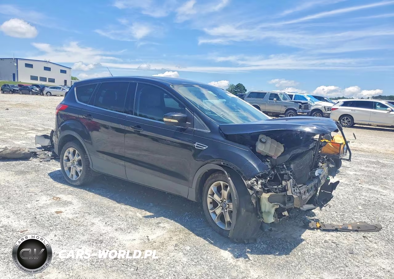 2013 Ford Escape Sel VIN:1FMCU0H9XDUC09292 - 4