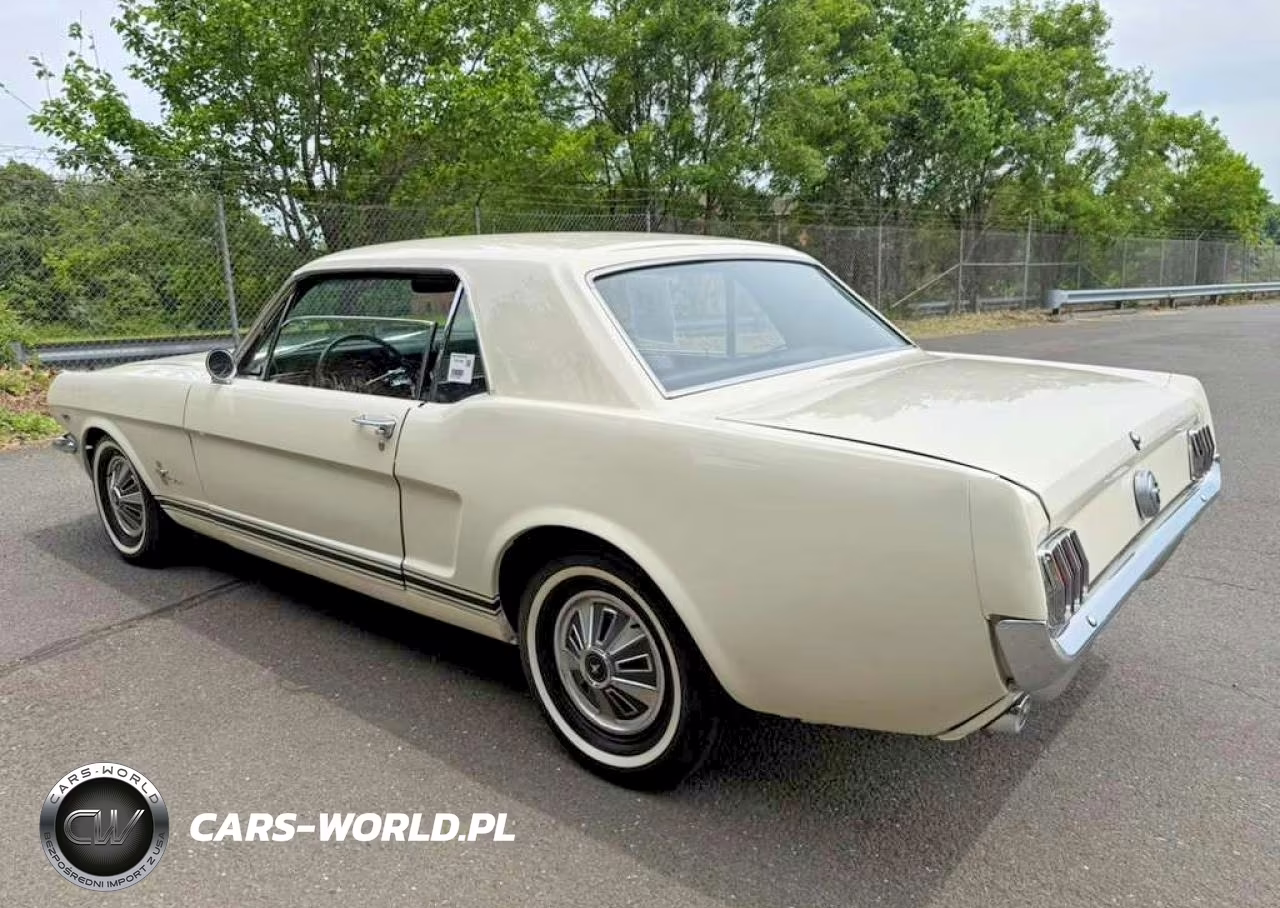 1966 Ford Mustang VIN:6T07C123865 - 2