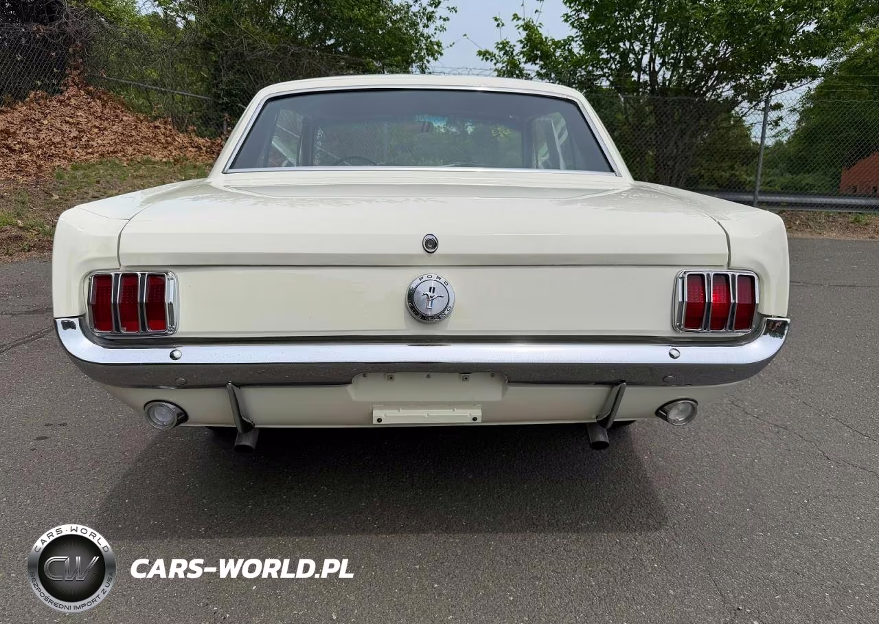 1966 Ford Mustang VIN:6T07C123865 - 5