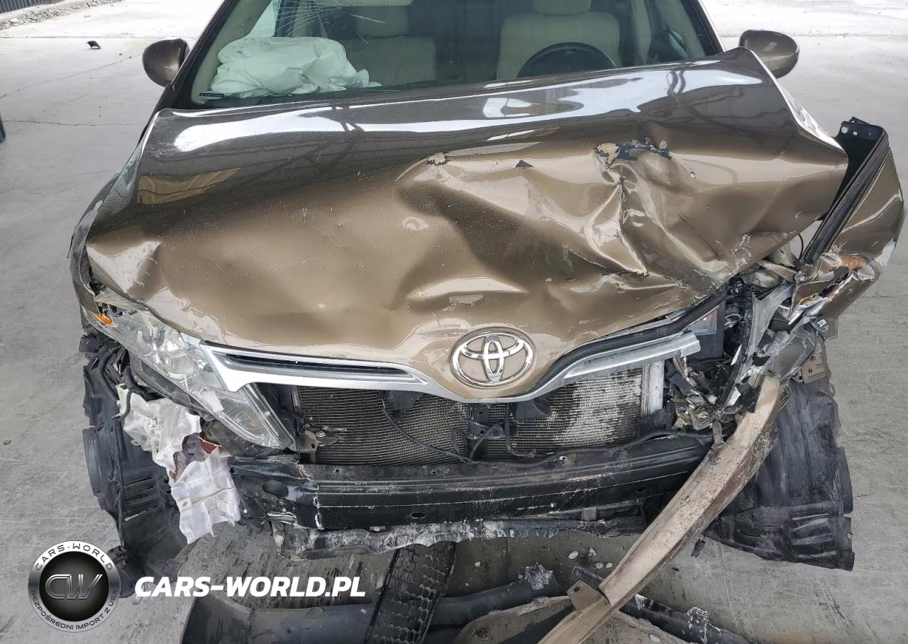2010 Toyota Venza VIN:4T3ZA3BB1AU028858 - 12