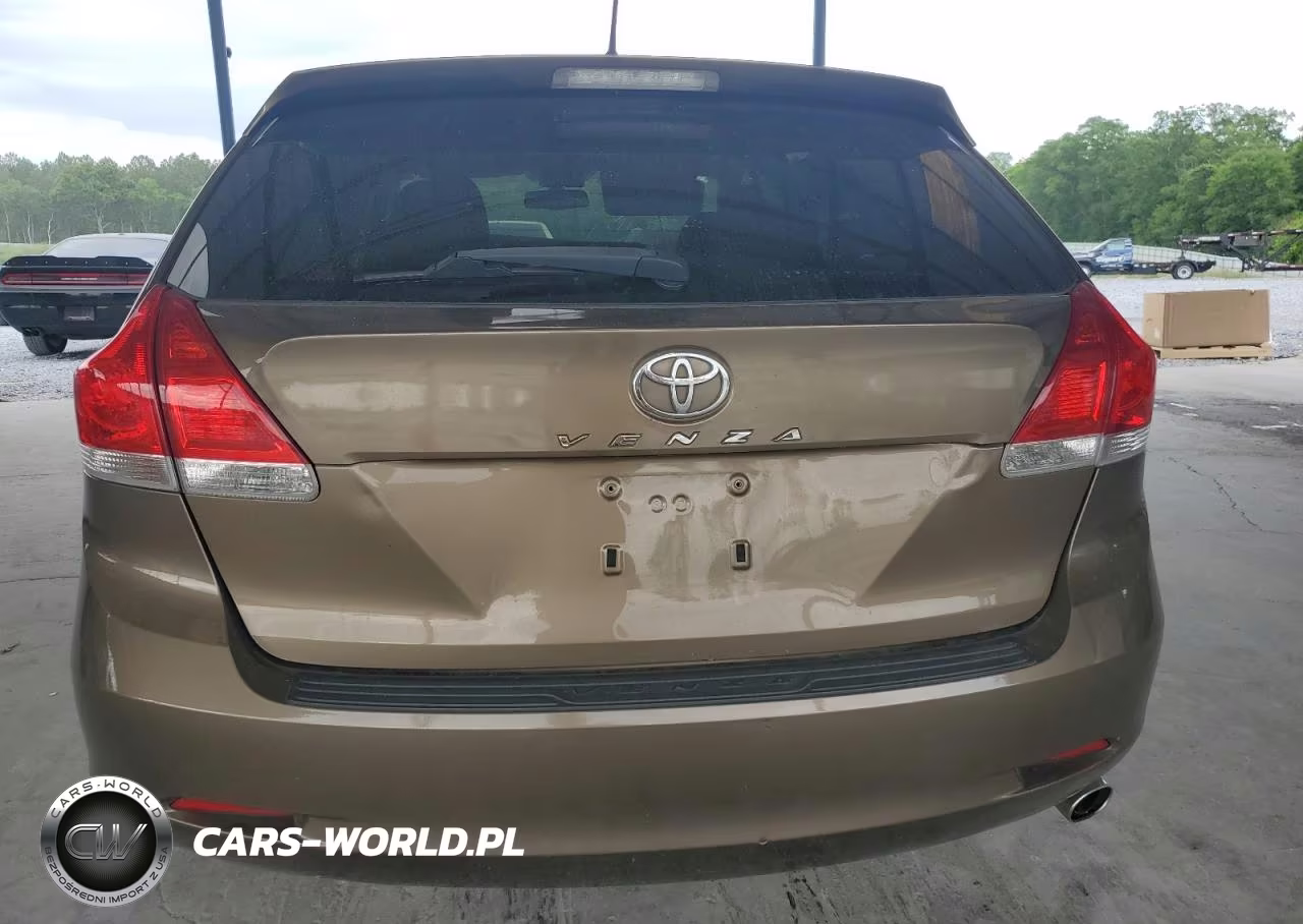2010 Toyota Venza VIN:4T3ZA3BB1AU028858 - 6